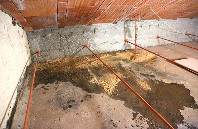 attic water damage
