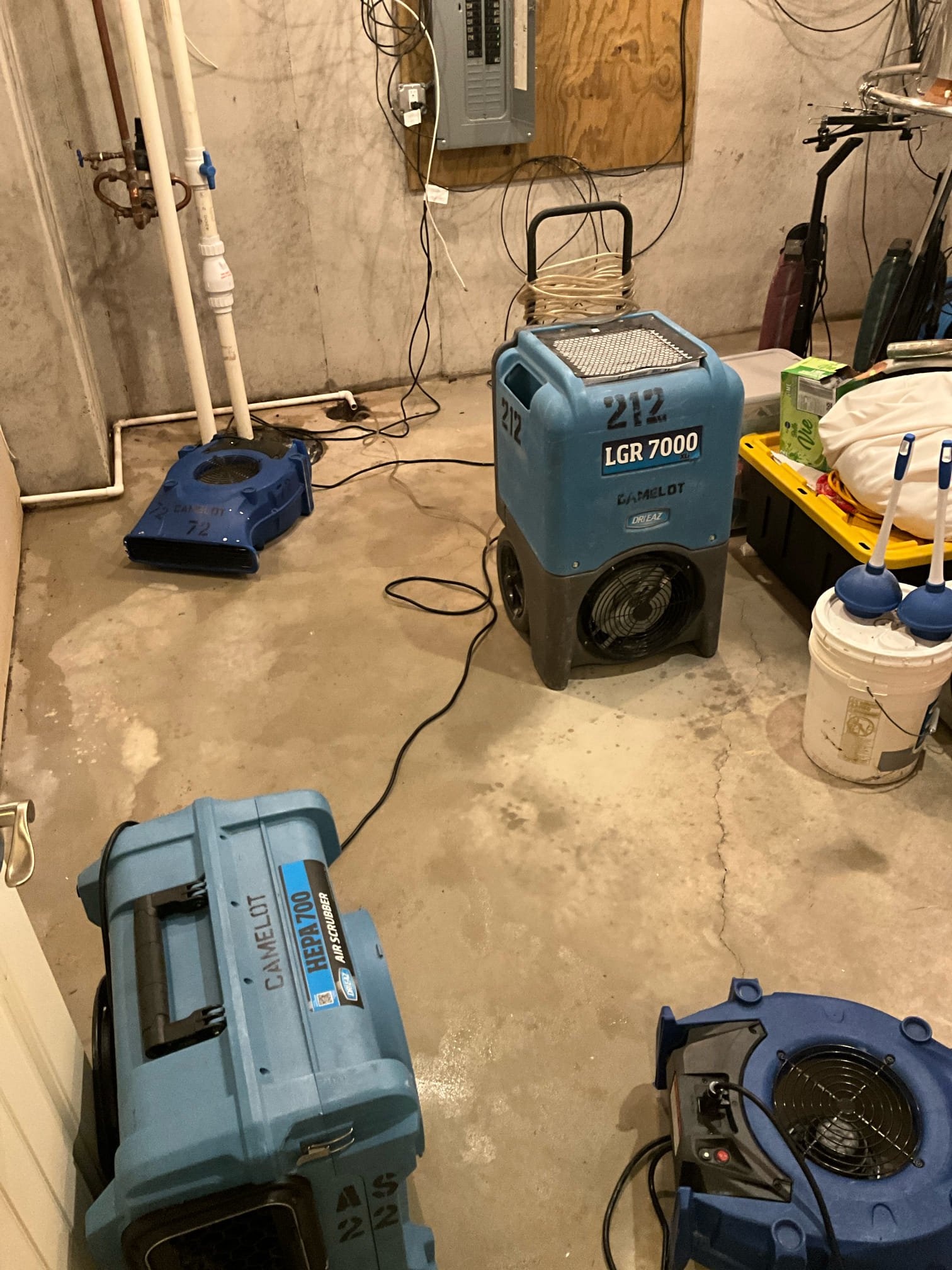 Dry out after sewage backup in basement