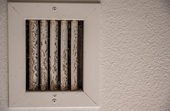 mold in the duct