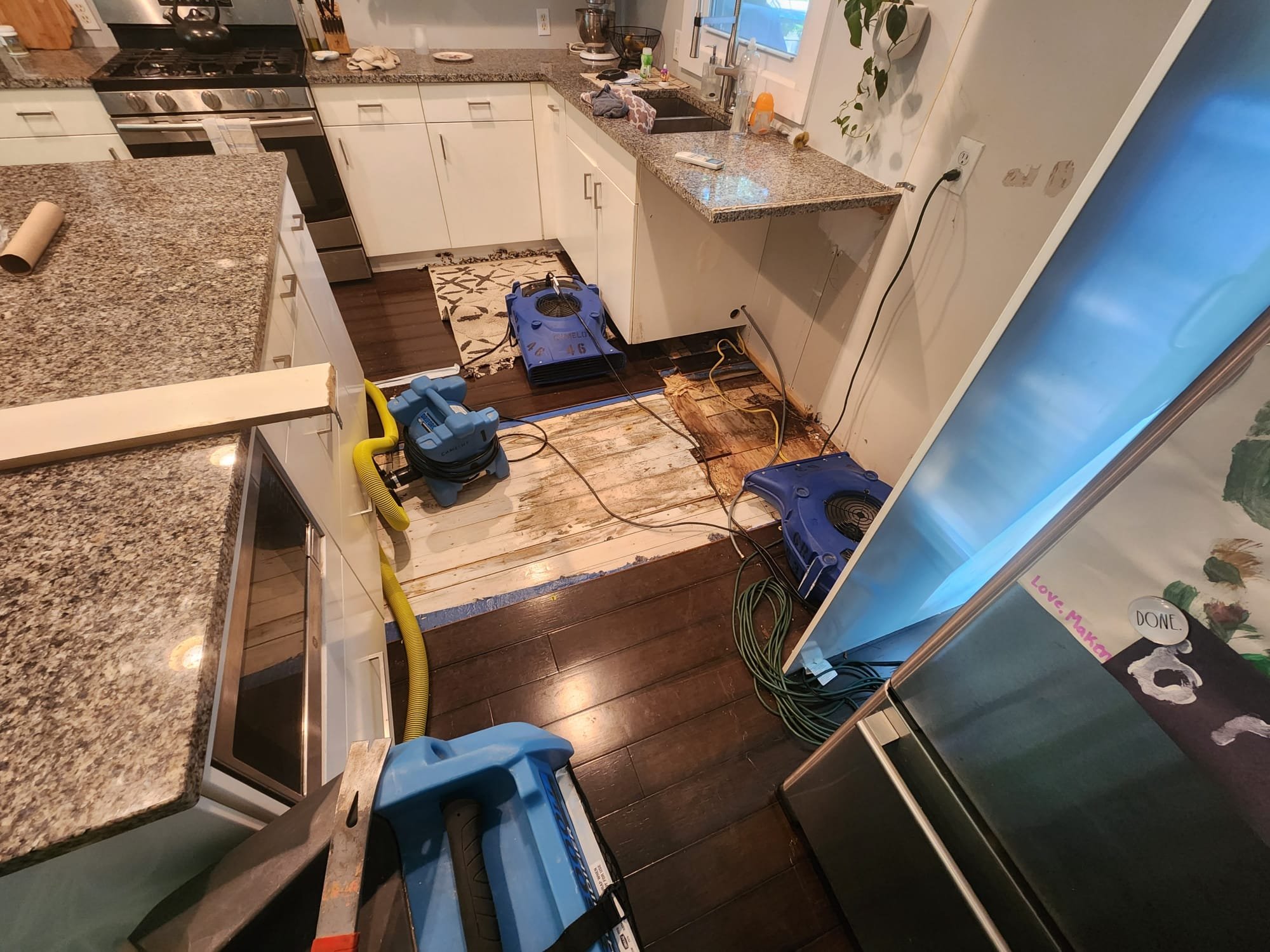 Read more about the article Dishwasher leak in Grand Rapids, MI