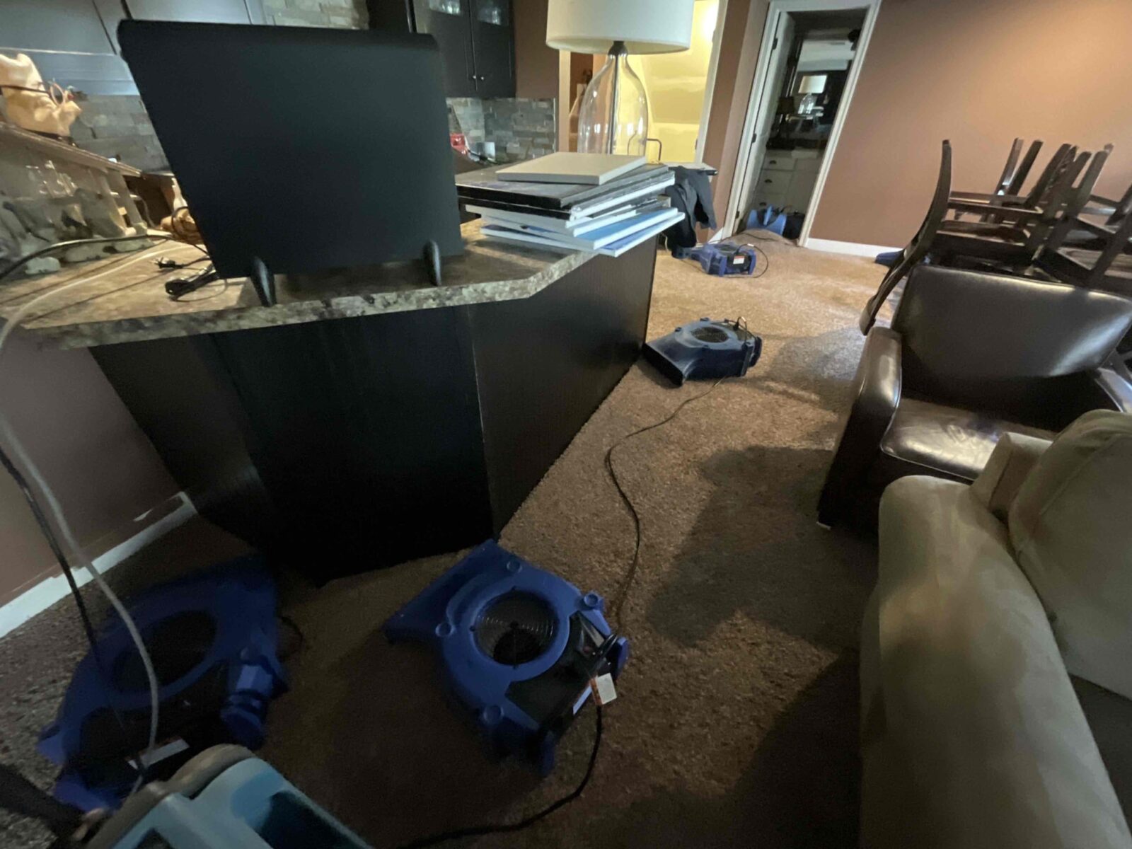 Read more about the article Sump Pump Failure in Byron Center, MI