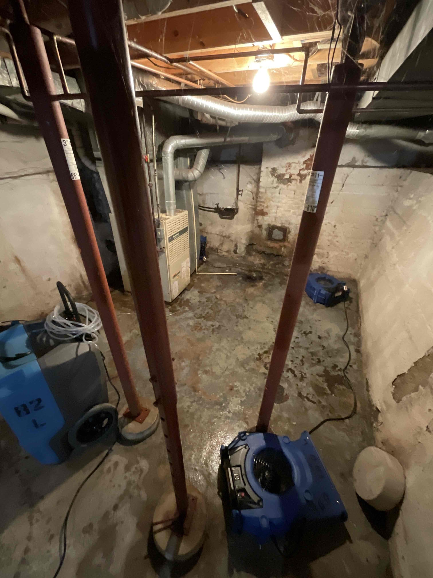 Read more about the article Sewage backup in unfinished basement in Lansing, MI