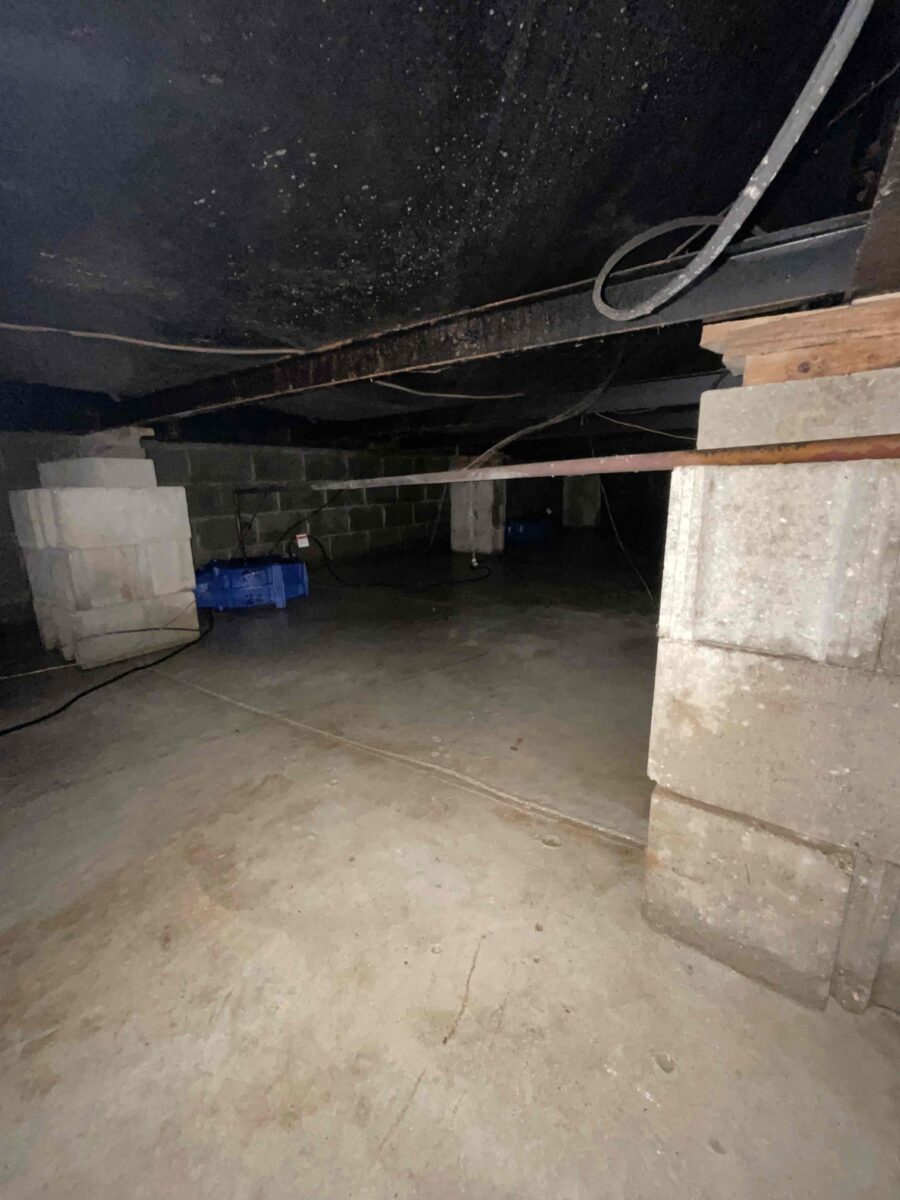 Read more about the article Sewage back up in Mattawan, MI