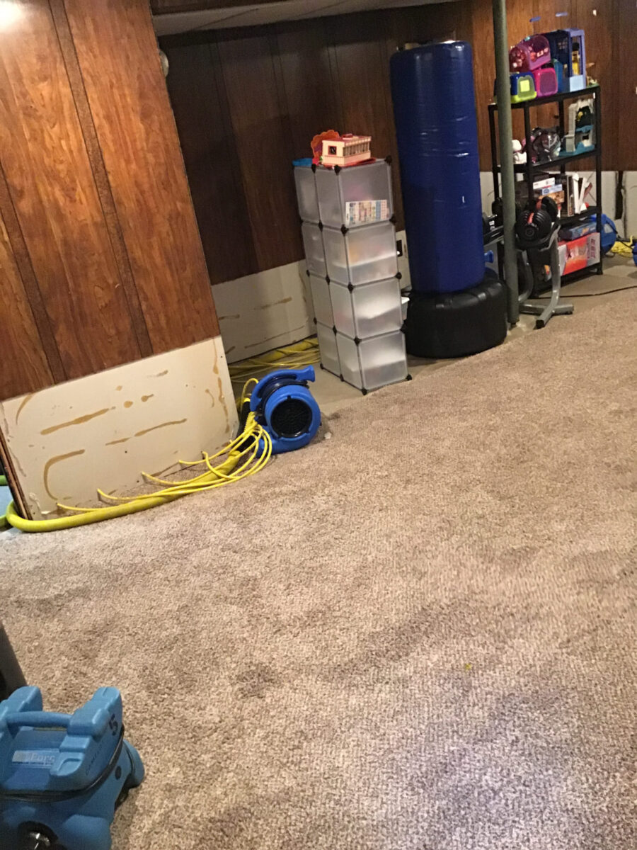 Read more about the article Sewage Backup in Basement Eaton Rapids, MI