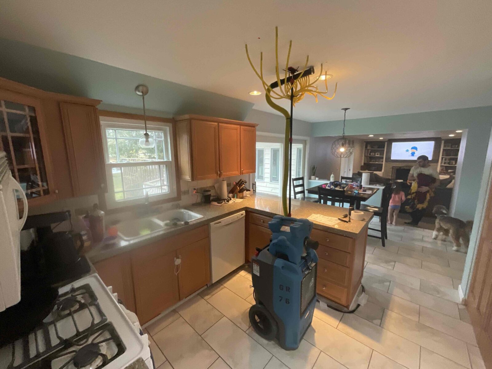 Read more about the article Shower leak in Ada, Michigan