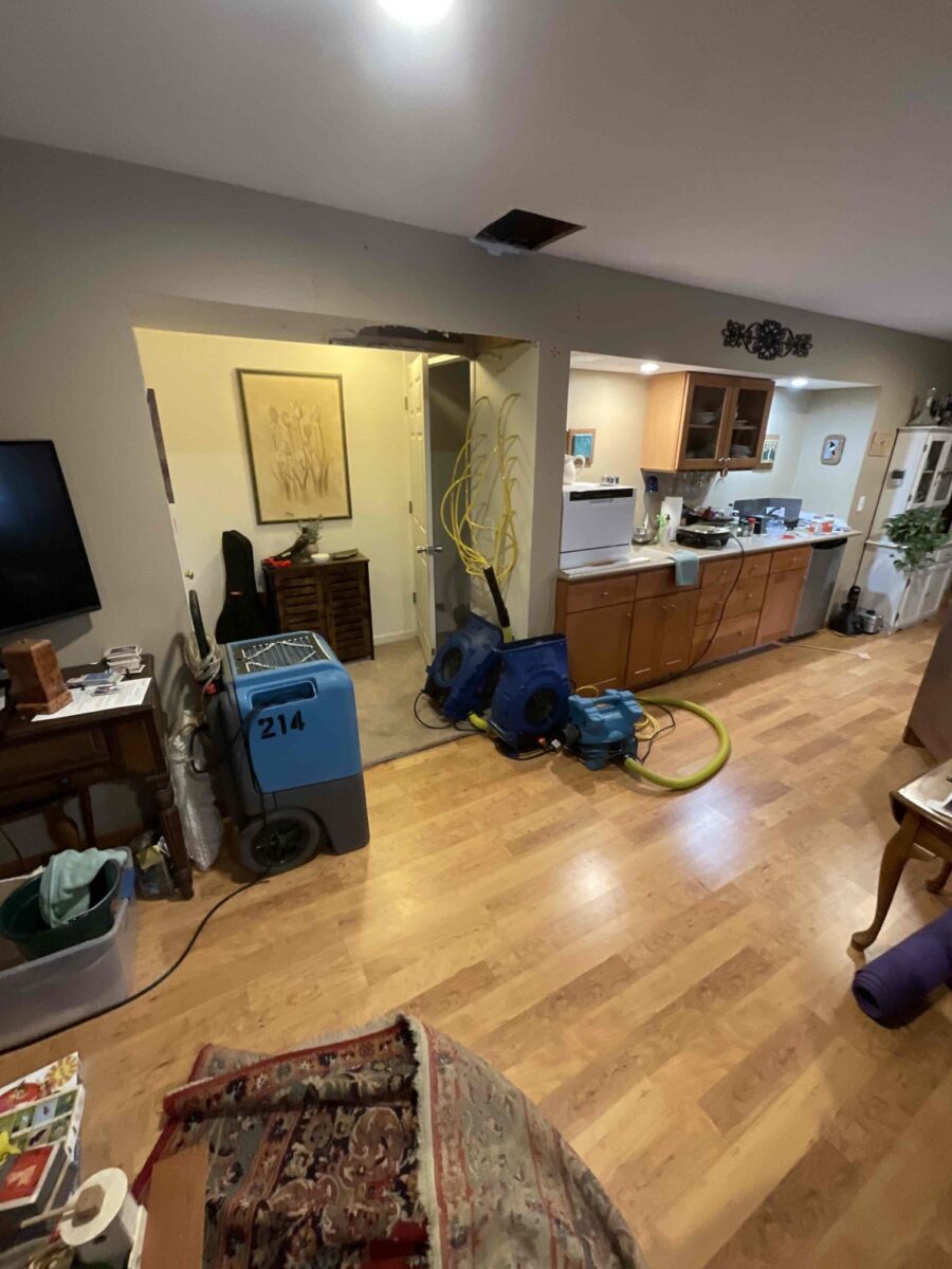 Read more about the article Dishwasher leak in Grand Rapids, MI