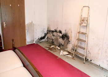 blog-water-damage-repair-grand-rapids-mi