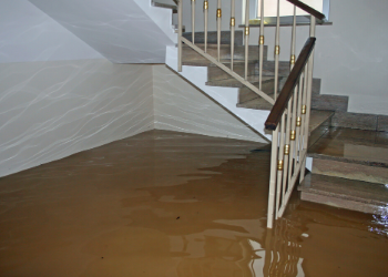 Read more about the article How Does Water Damage Restoration Work?