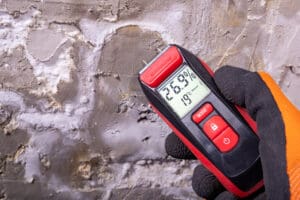 mold testing services