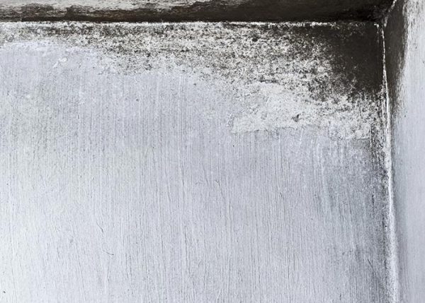 Avoid Water Damage While On Vacation