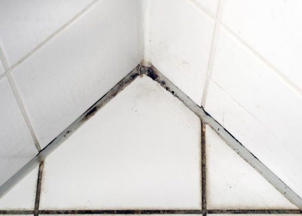 How to Get Rid of Mold and Mildew in Your Bathroom