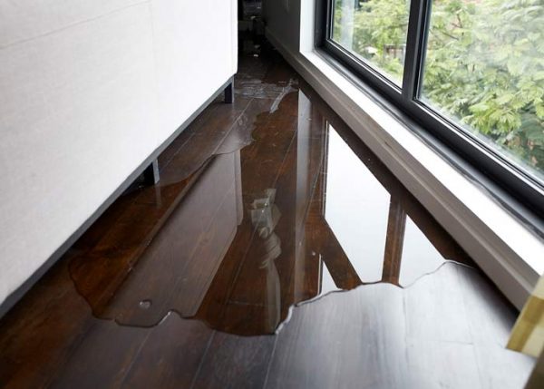 How Do You Prevent Mold from Water Damage?