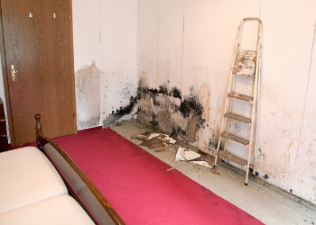 5 Causes of Residential Water Damage