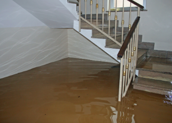 How Does Water Damage Restoration Work?