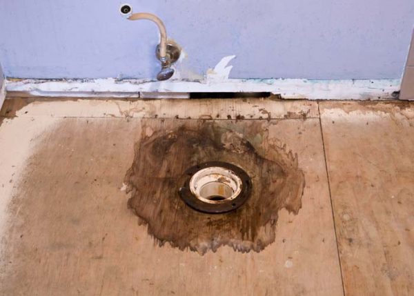 7 Signs Your Bathroom Has Water Damage