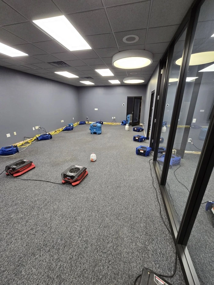 Air movers and dehumidifiers drying an office with glass-walled rooms