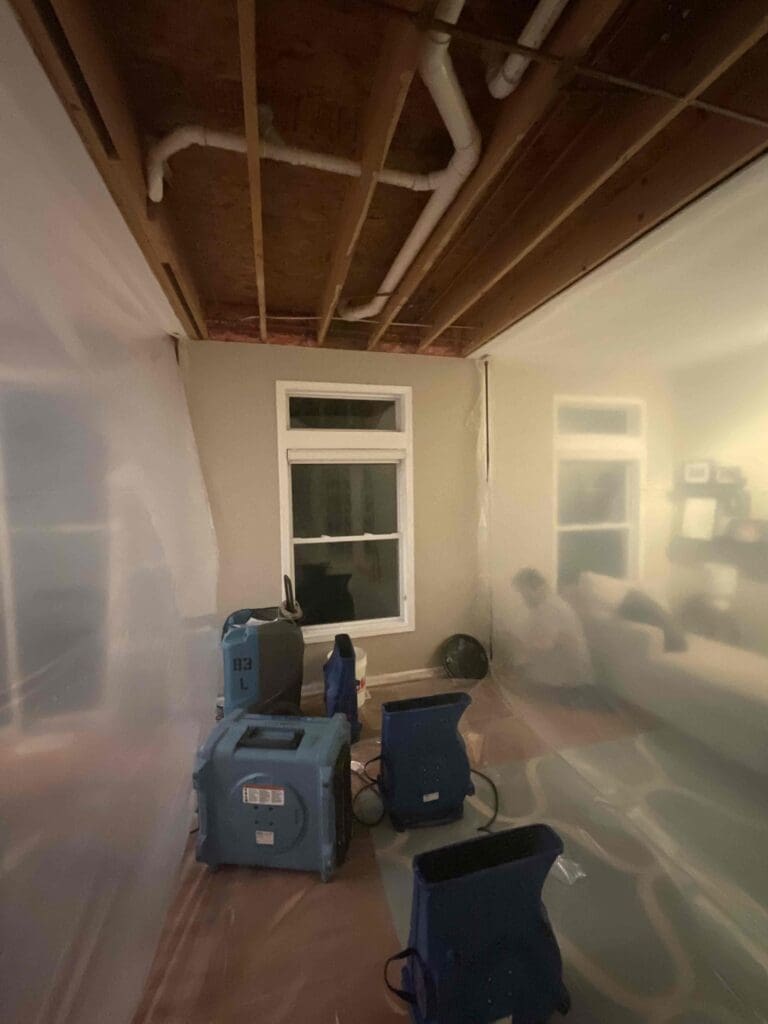 Dehumidifiers and air movers inside plastic containment, with the ceiling opened to pipes and joists, during mold remediation
